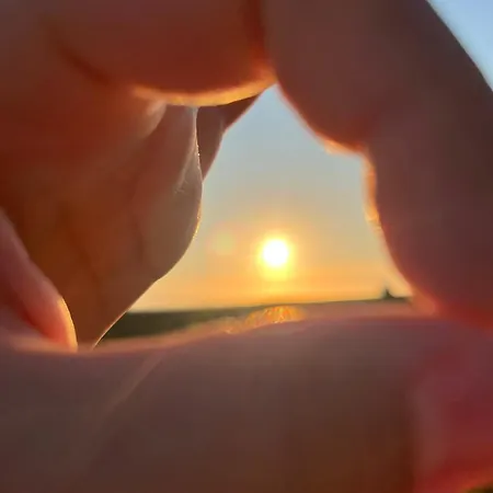 Hos Laura & Valdemar Nord-Lenangen