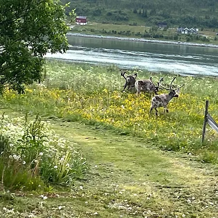 Σπίτι διακοπών Hos Laura & Valdemar *