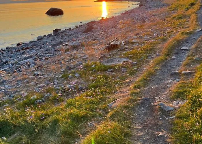 Hos Laura & Valdemar Feriehus Nord-Lenangen
