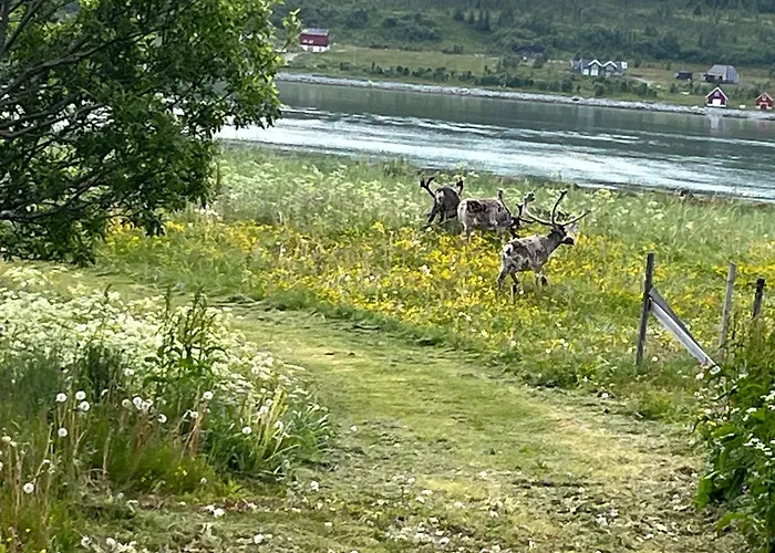 Casa vacanze Hos Laura & Valdemar *