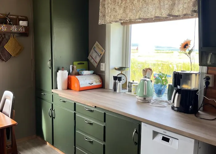 Hos Laura & Valdemar Nord-Lenangen