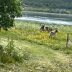 Tatil Evi Hos Laura & Valdemar *