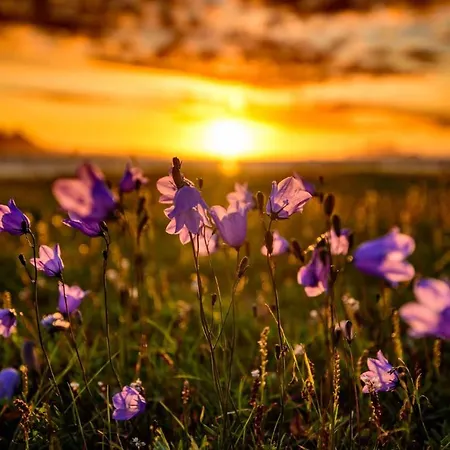 Hos Laura & Valdemar Nyaraló